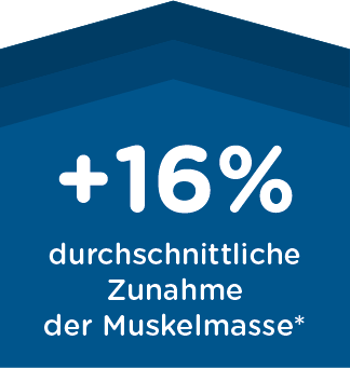 +16% Muskelzunahme